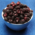 Black Raspberry – 30 Seeds Southern Seeds
