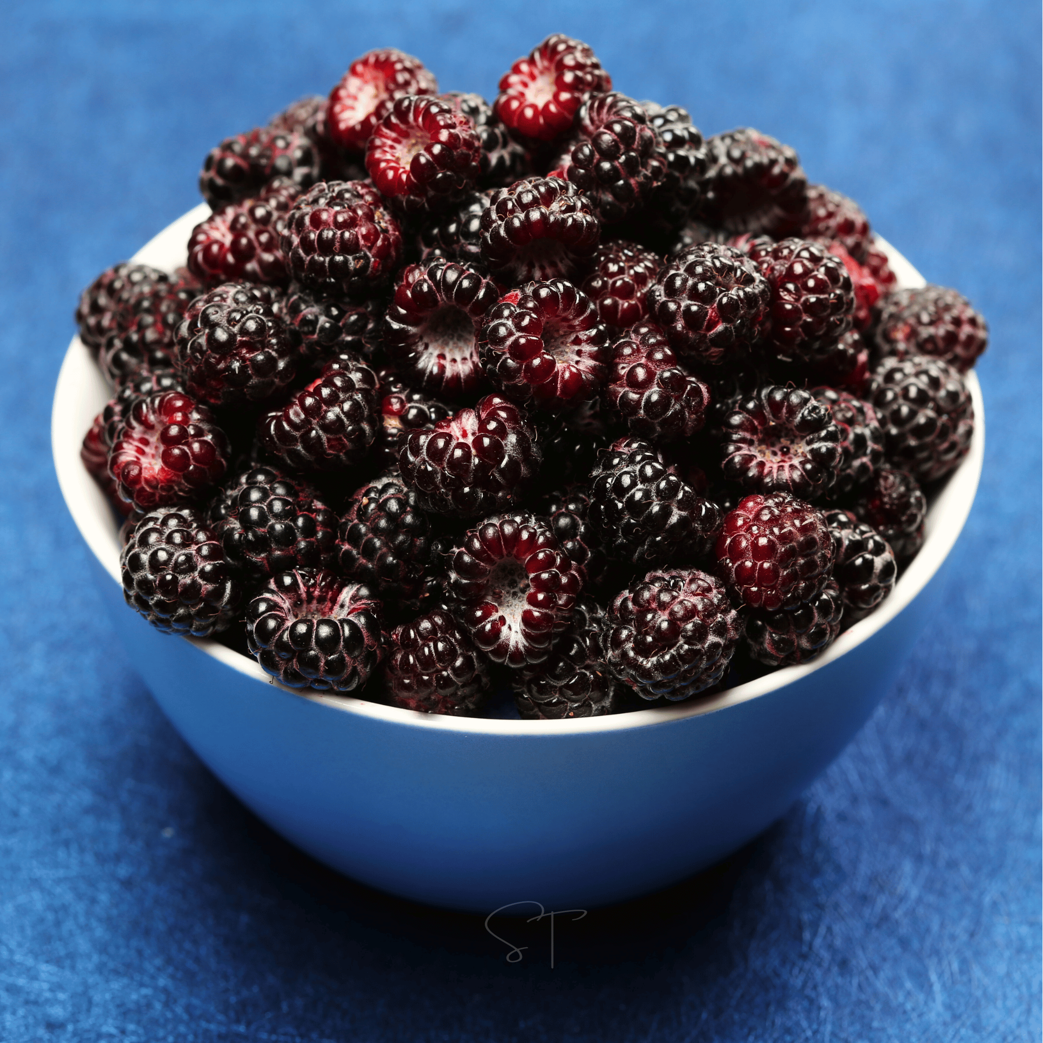 Black Raspberry – 30 Seeds Southern Seeds
