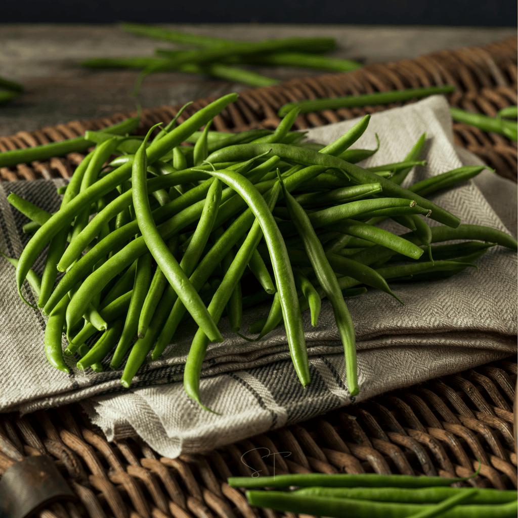Blue Lake Bean (Pole) – 50 Seeds Southern Seeds