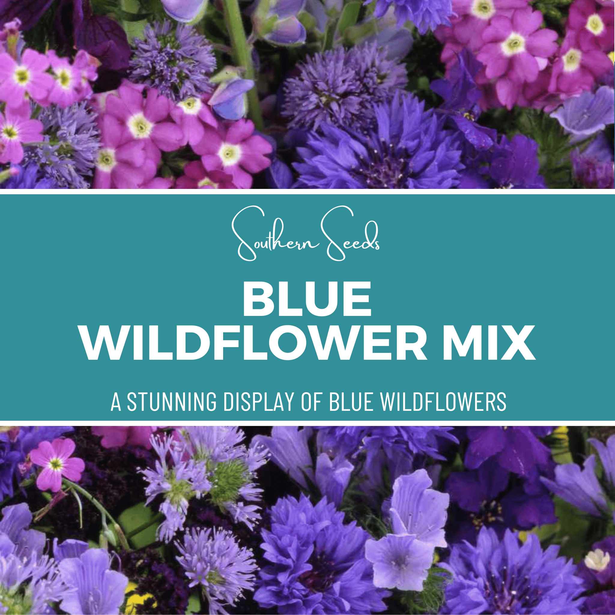 Blue Wildflower Seed Mix – 100 Seeds Southern Seeds