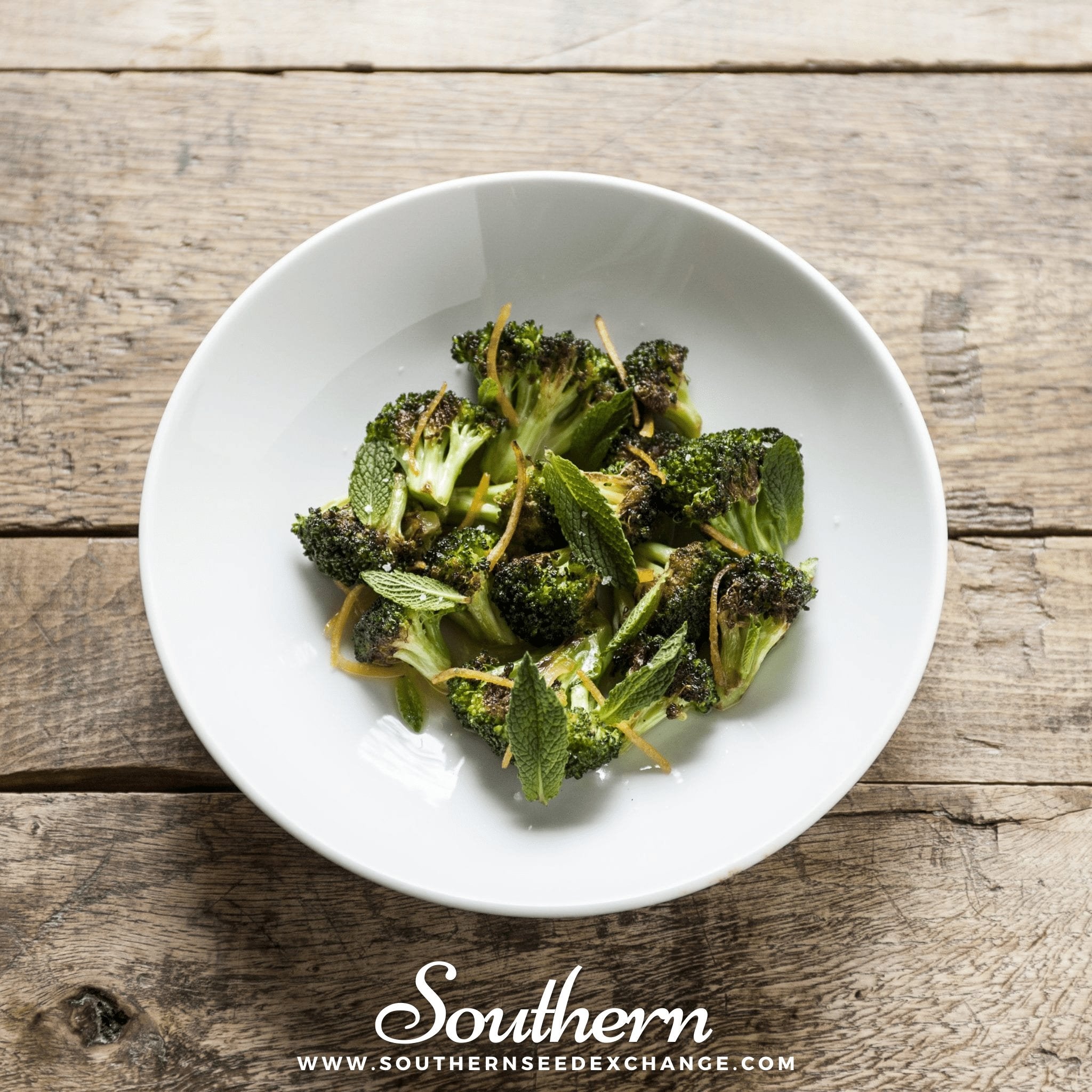 Di Cicco Broccoli – 200 Seeds Southern Seeds