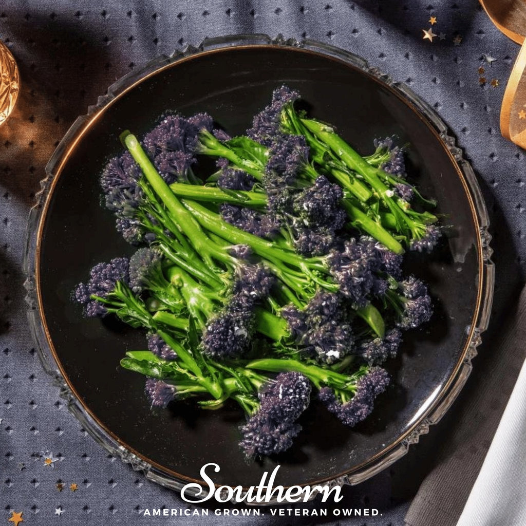 Purple Sprouting Broccoli – 100 Seeds Southern Seeds