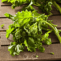 Rapini Raab Broccoli – 100 Seeds Southern Seeds