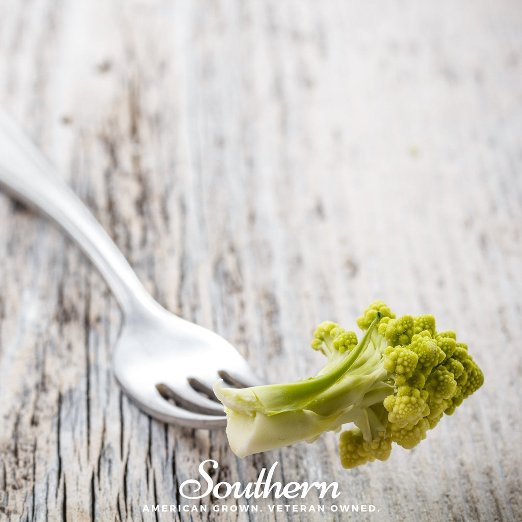 Romanesco Broccoli – 100 Seeds Southern Seeds
