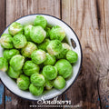 Long Island Improved Brussels Sprouts – 250 Seeds Southern Seeds