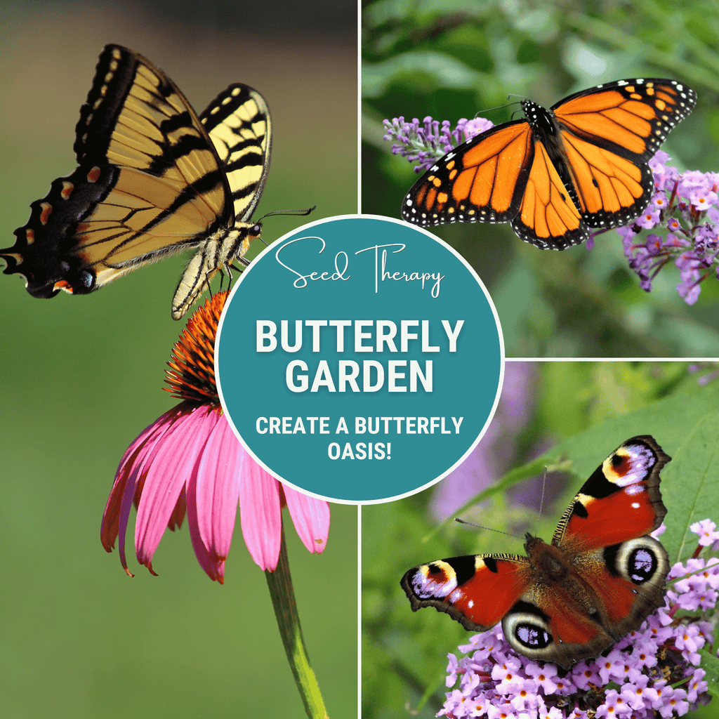 Butterfly Garden Seed Collection – 10 Varieties Southern Seeds
