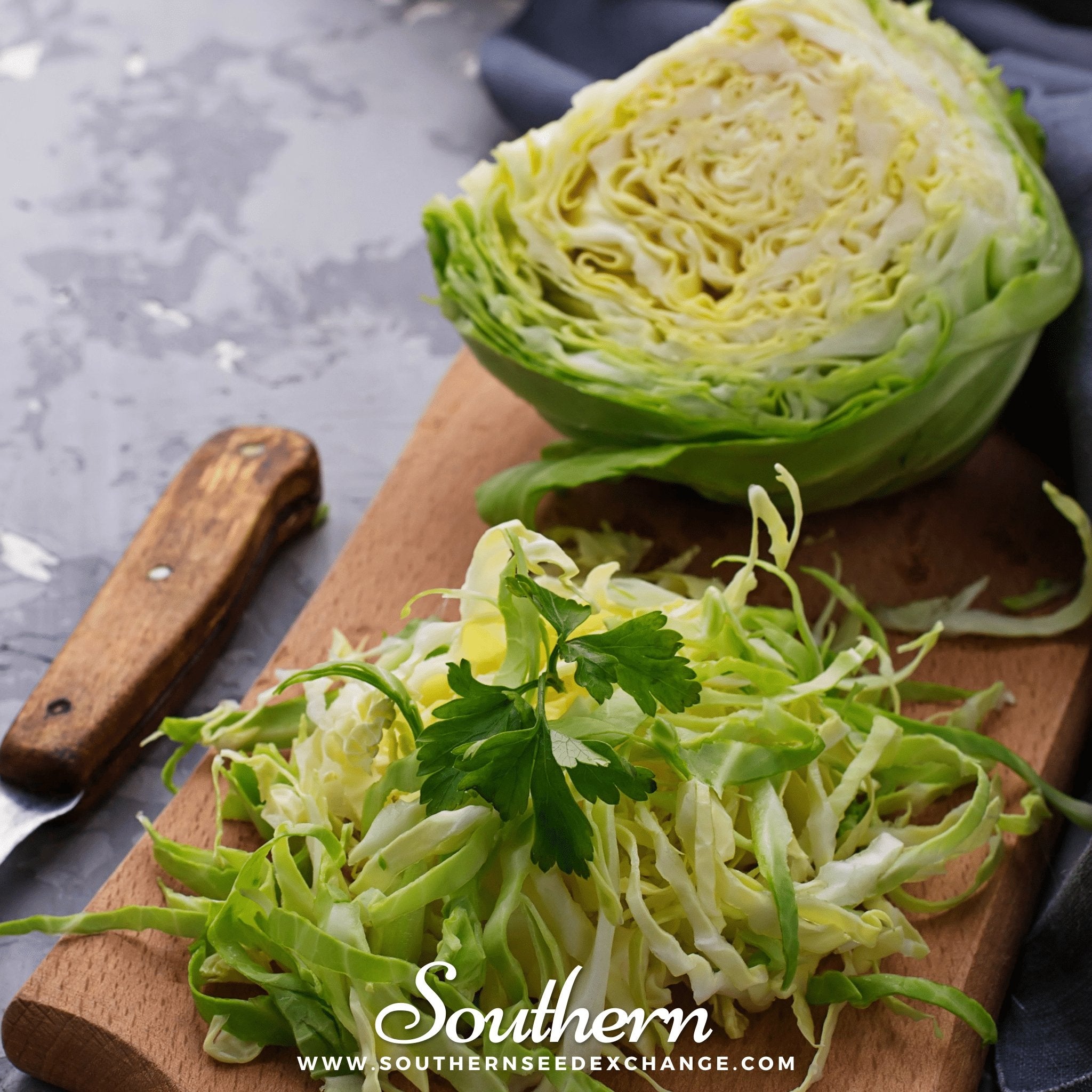 Brunswick Cabbage – 100 Seeds Southern Seeds