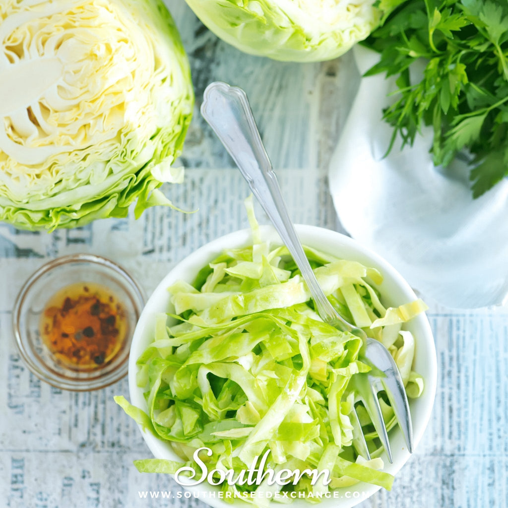 Copenhagen Market Cabbage – 100 Seeds Southern Seeds
