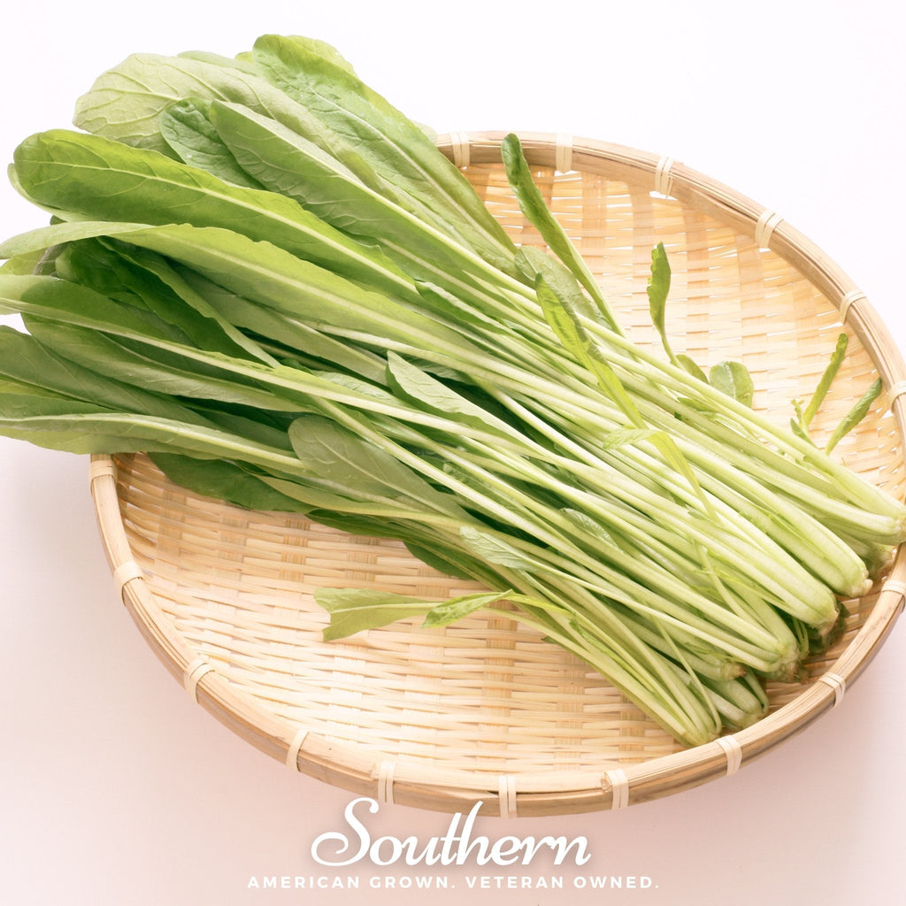 Mibuna Chinese Cabbage – 100 Seeds Southern Seeds