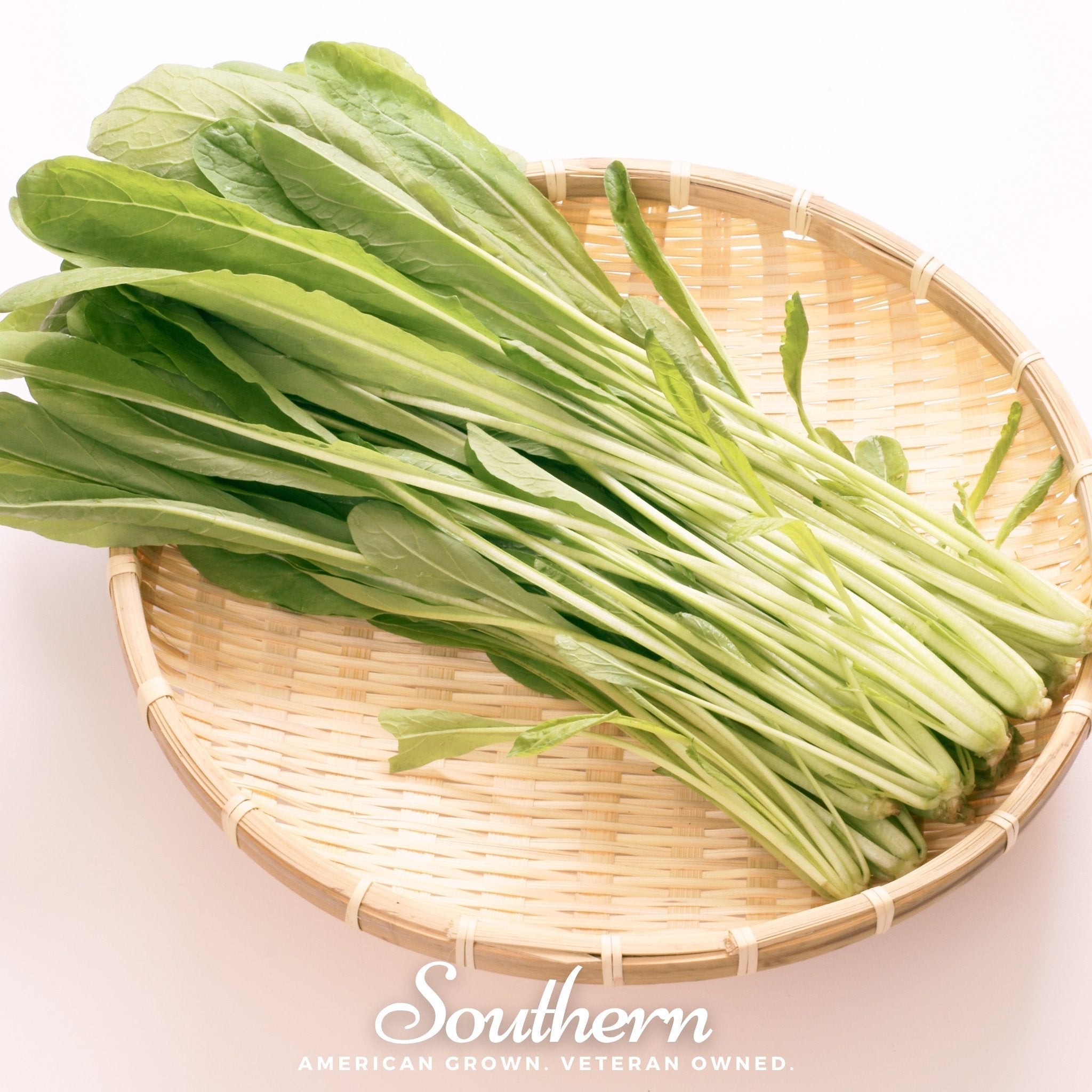 Mibuna Chinese Cabbage – 100 Seeds Southern Seeds