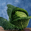 Savoy Cabbage – 100 Seeds Southern Seeds