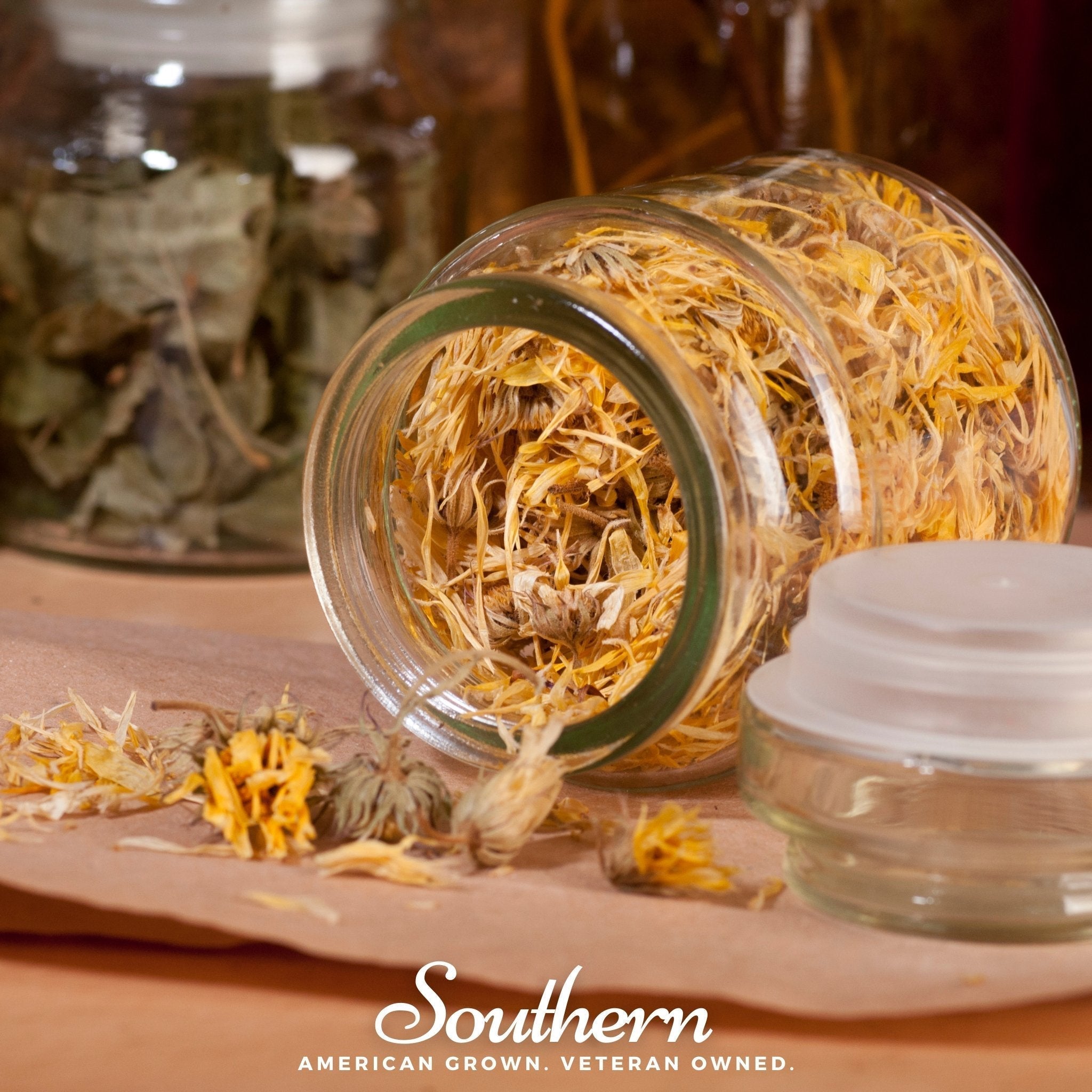 Fiesta Gitana Calendula – 100 Seeds Southern Seeds