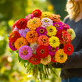 California Giants Zinnia – 100 Seeds Southern Seeds