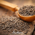 Caraway – 150 Seeds Southern Seeds