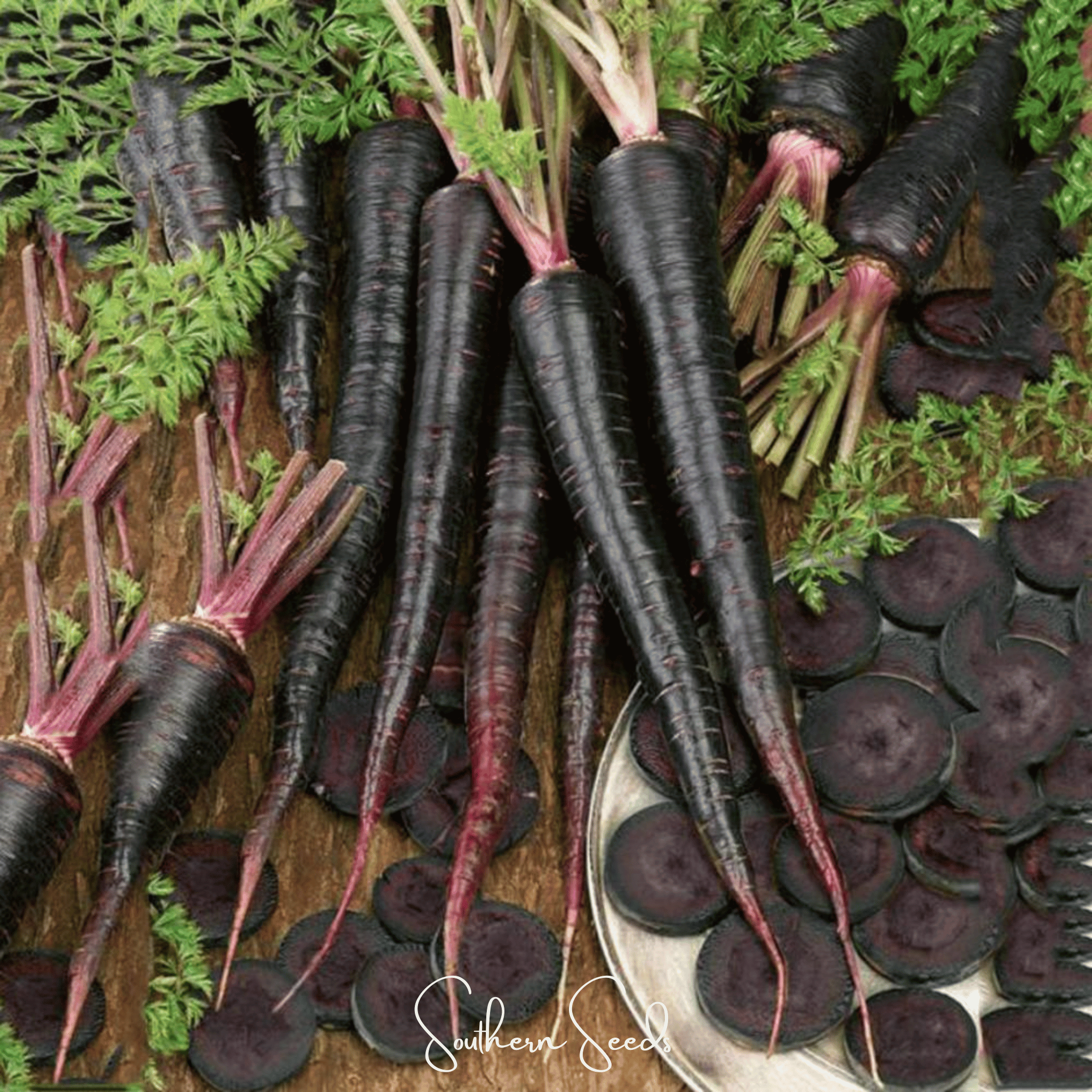 Black Nebula Carrot – 250 Seeds Southern Seeds