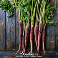 Cosmic Purple Carrot – 250 Seeds Southern Seeds