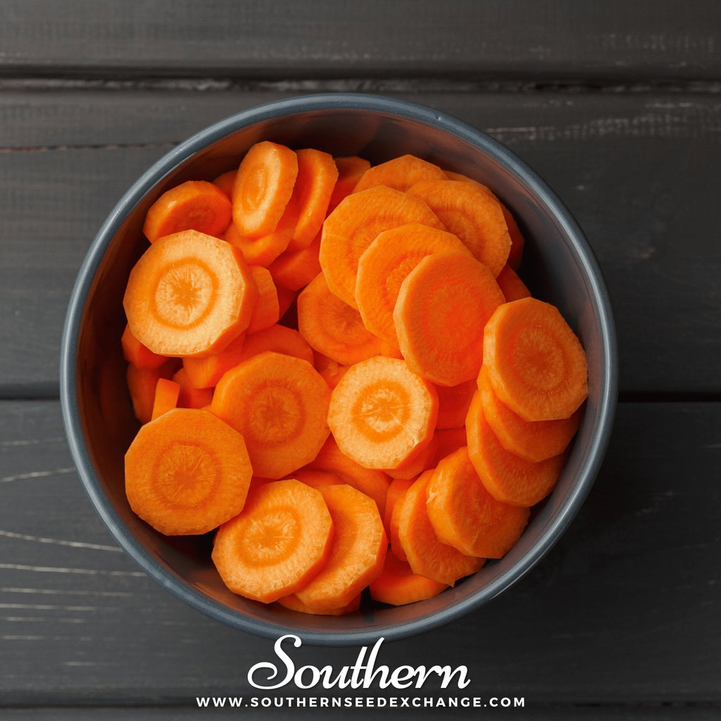 Imperator 58 Carrot – 250 Seeds Southern Seeds