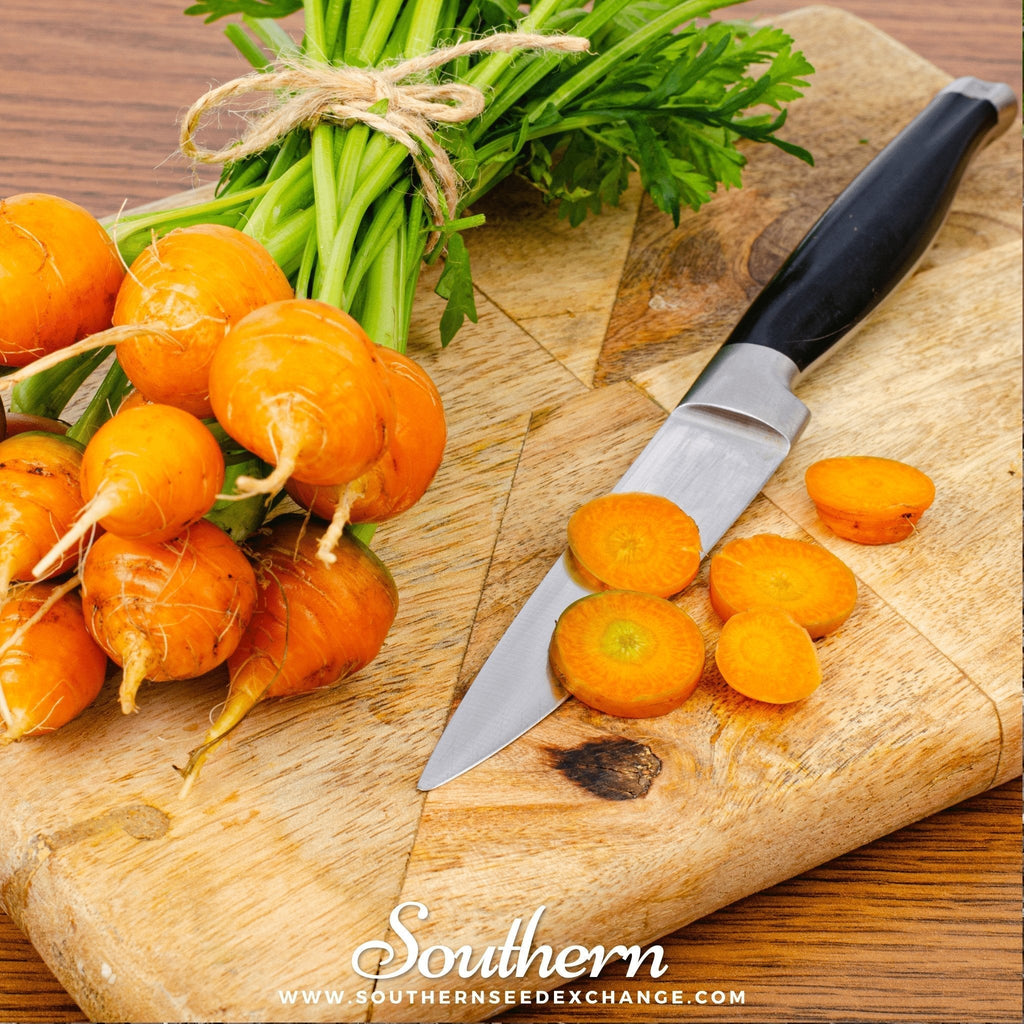 Parisian Carrot – 250 Seeds Southern Seeds
