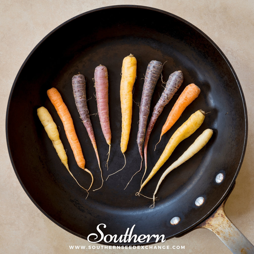 Rainbow Carrot – 100 Seeds Southern Seeds