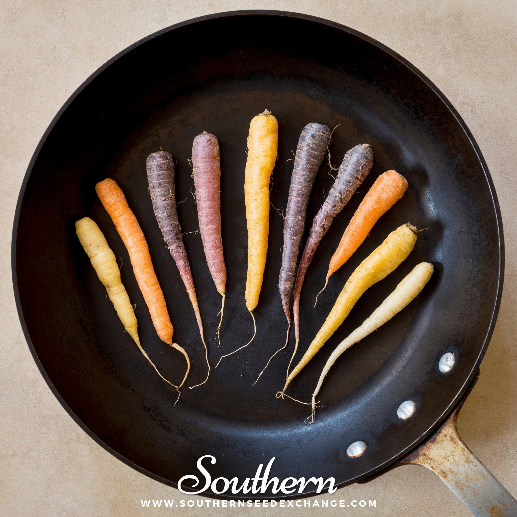 Rainbow Carrot – 100 Seeds Southern Seeds