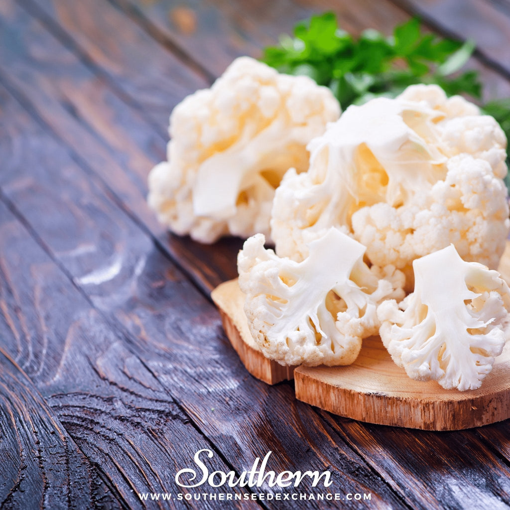 Snowball Y Improved Cauliflower – 200 Seeds Southern Seeds