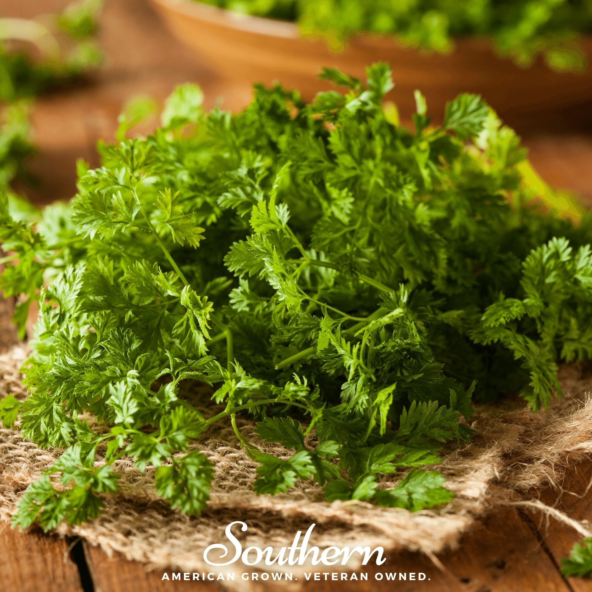 Curled Chervil – 200 Seeds Southern Seeds