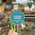 Chicken Treats Seed Collection – 10 Varieties Southern Seeds