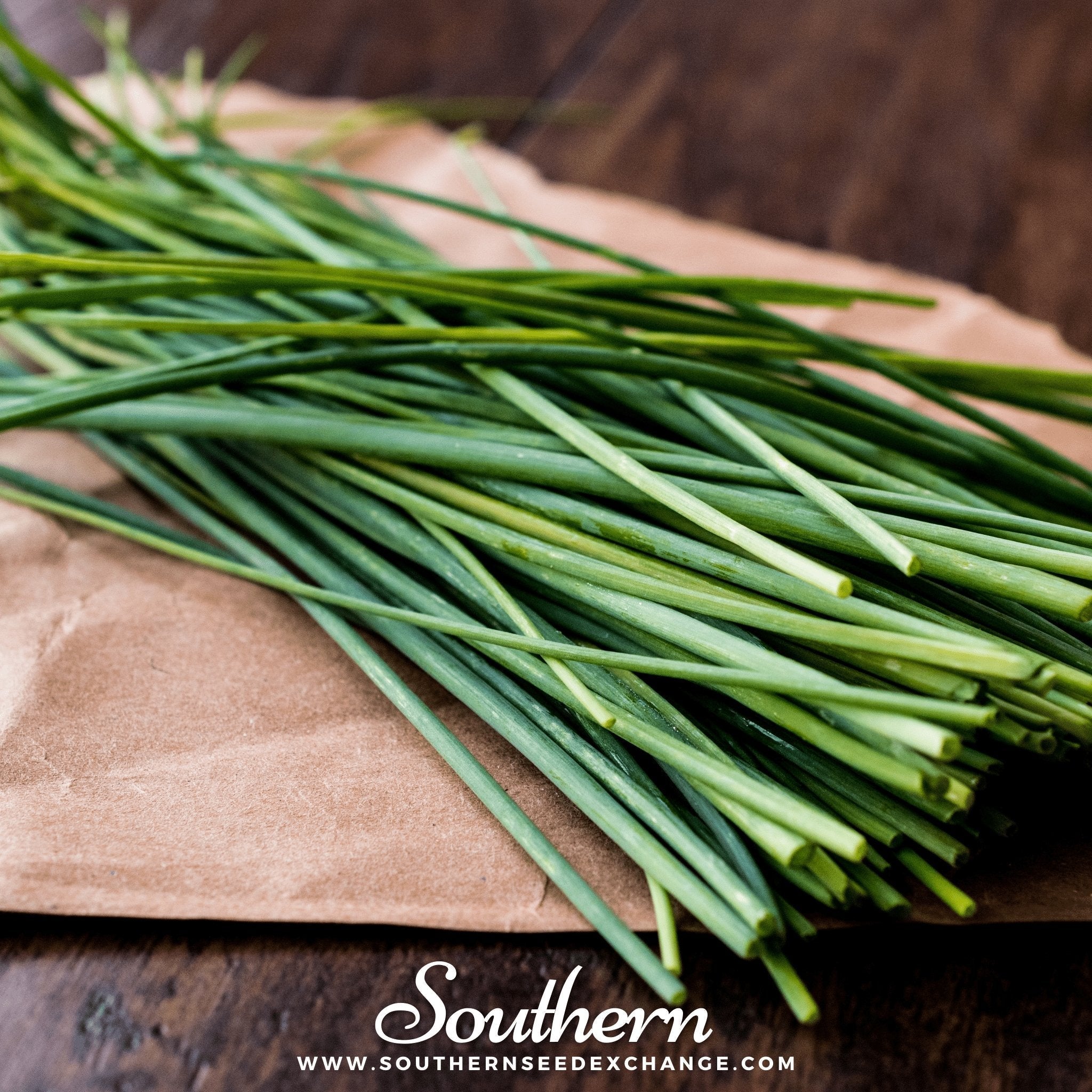 Chives – 100 Seeds Southern Seeds
