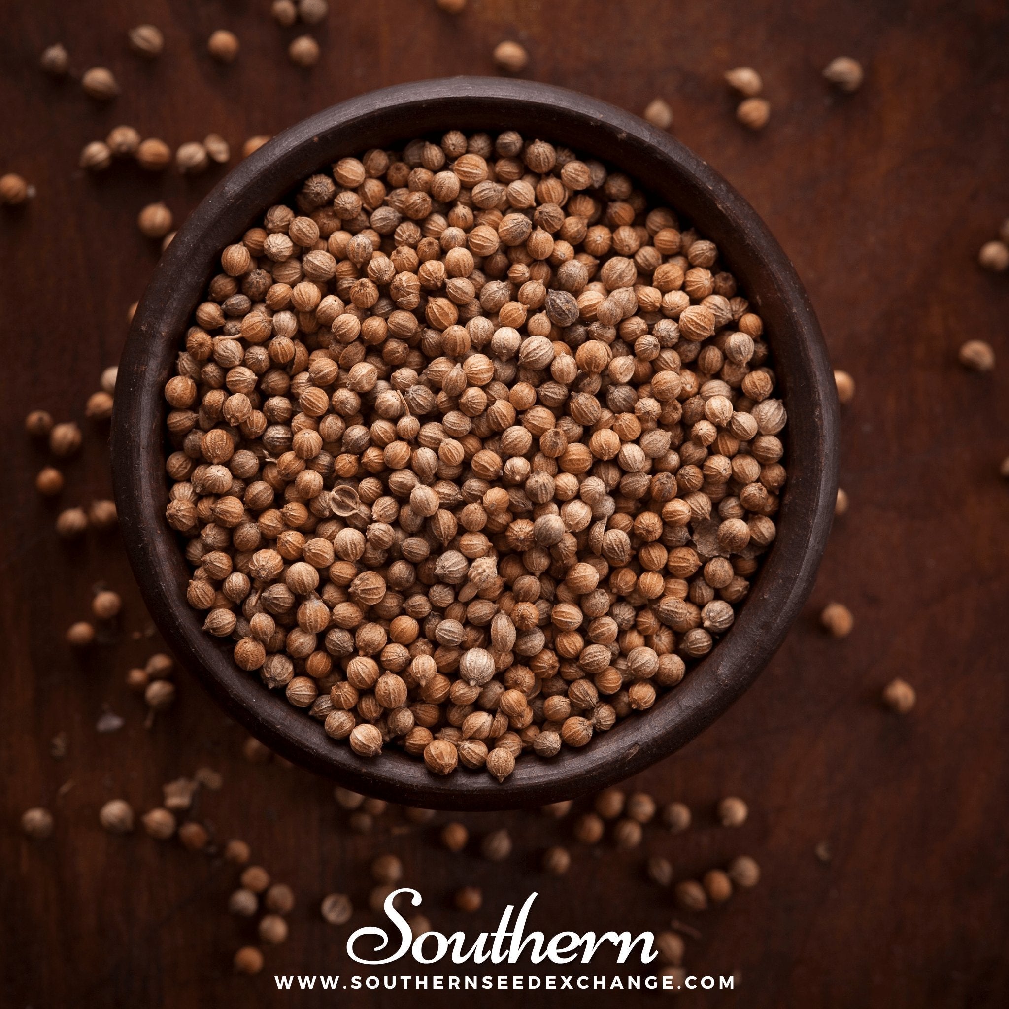 Santo Cilantro – 100 Seeds Southern Seeds