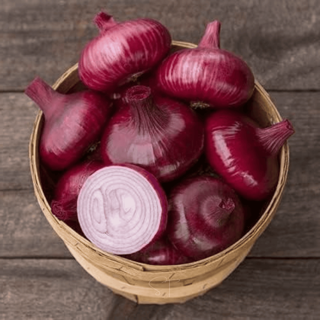 Cipollini Red Onion – 100 Seeds Southern Seeds