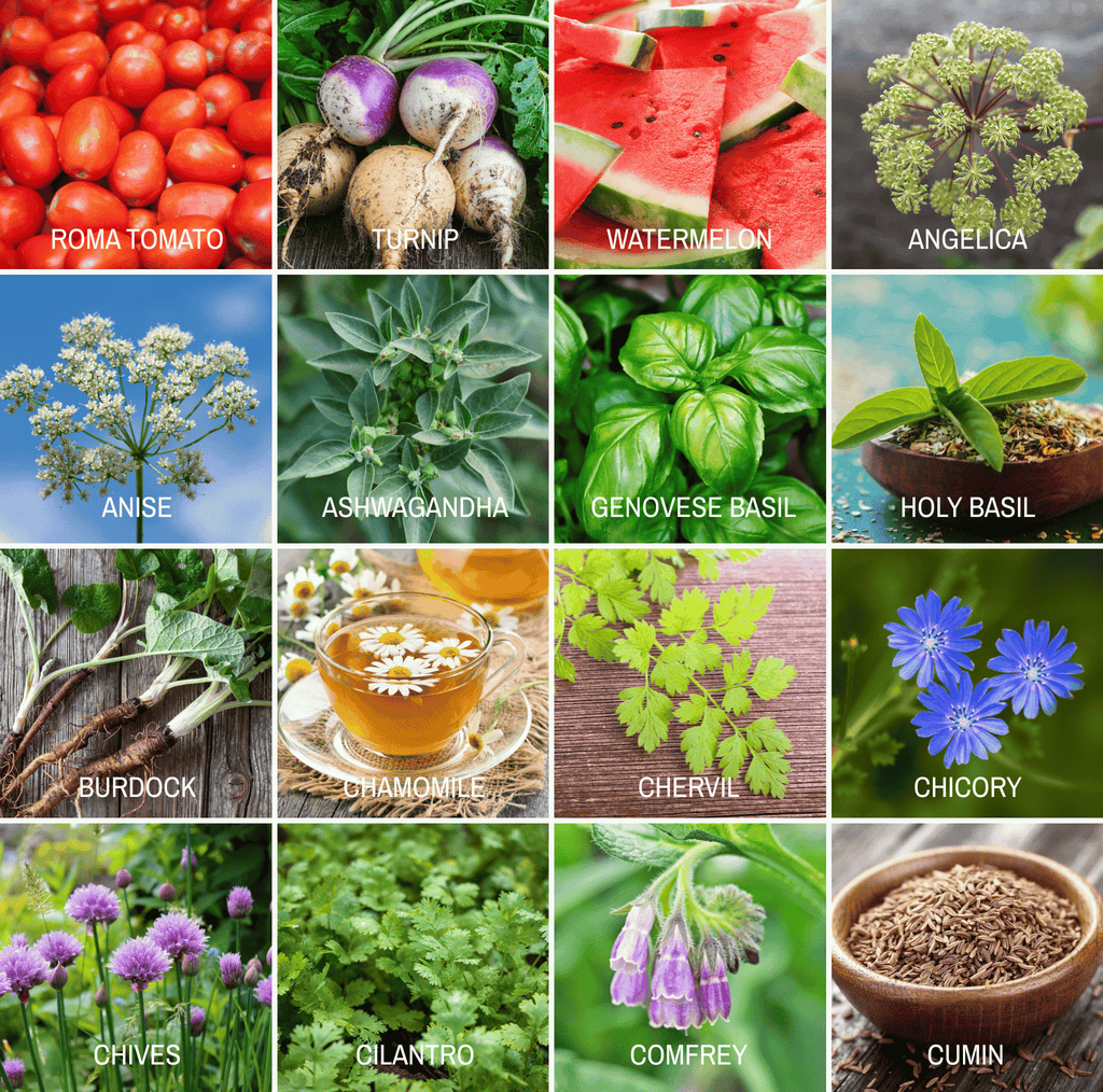 Community Garden Survival Seed Vault – 120 Seed Varieties Southern Seeds
