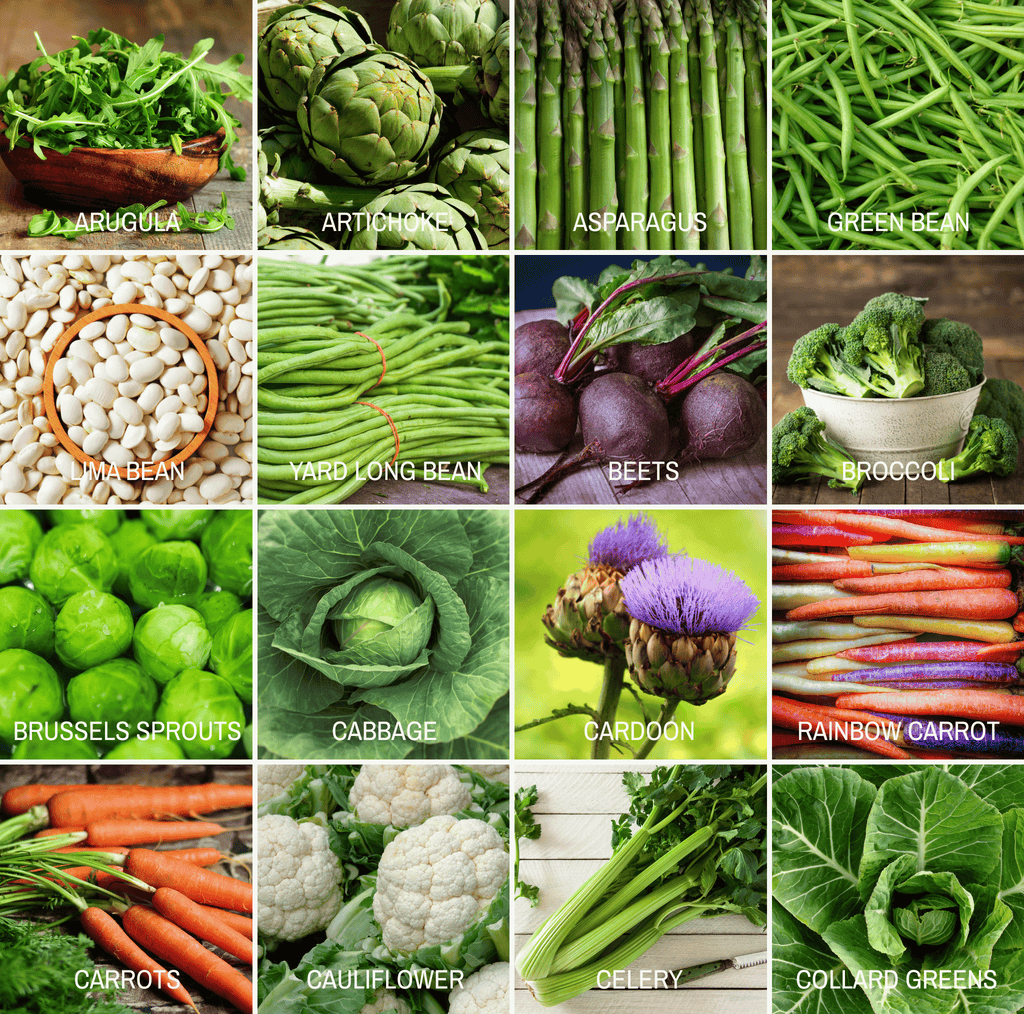 Community Garden Survival Seed Vault – 120 Seed Varieties Southern Seeds