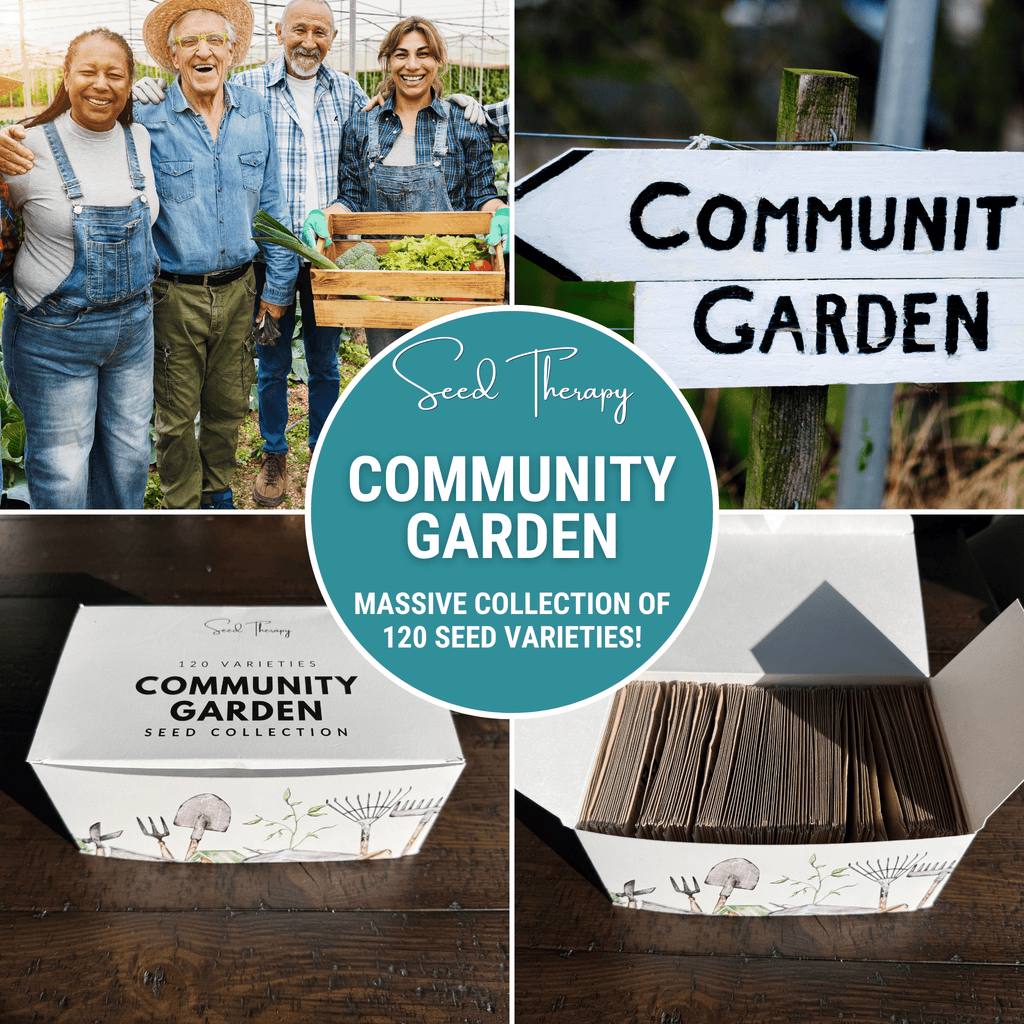 Community Garden Survival Seed Vault – 120 Seed Varieties Southern Seeds