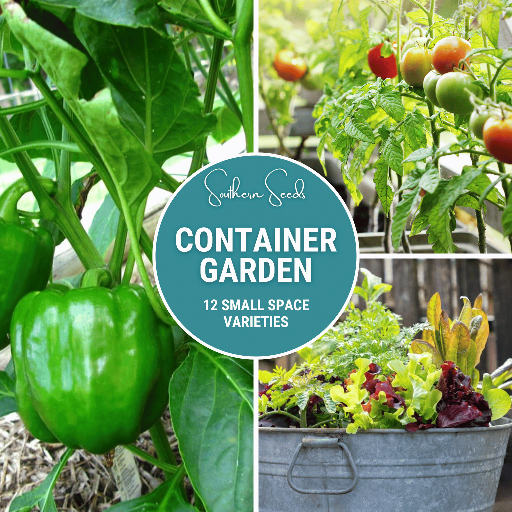 Container Garden Seed Collection – 12 Varieties Southern Seeds