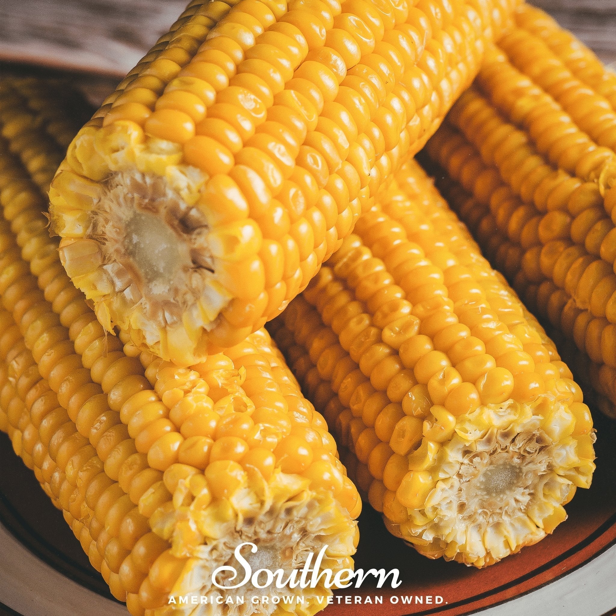 Bodacious Corn – 30 Seeds Southern Seeds