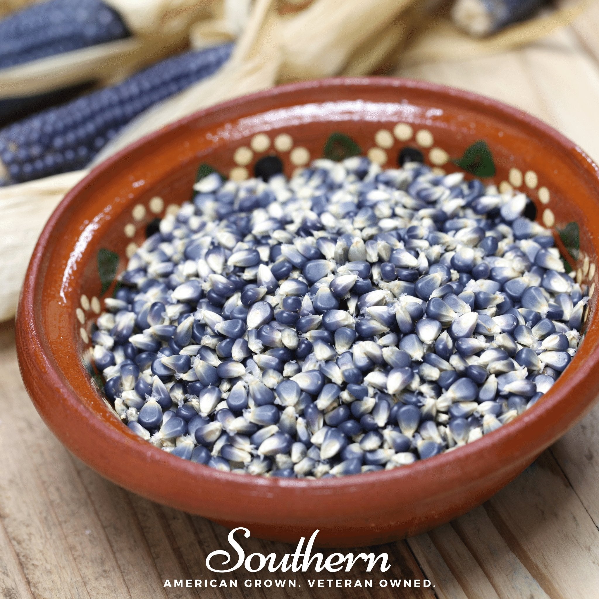 Hopi Blue Corn – 30 Seeds Southern Seeds