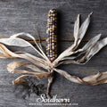 Indian Ornamental Corn – 30 Seeds Southern Seeds