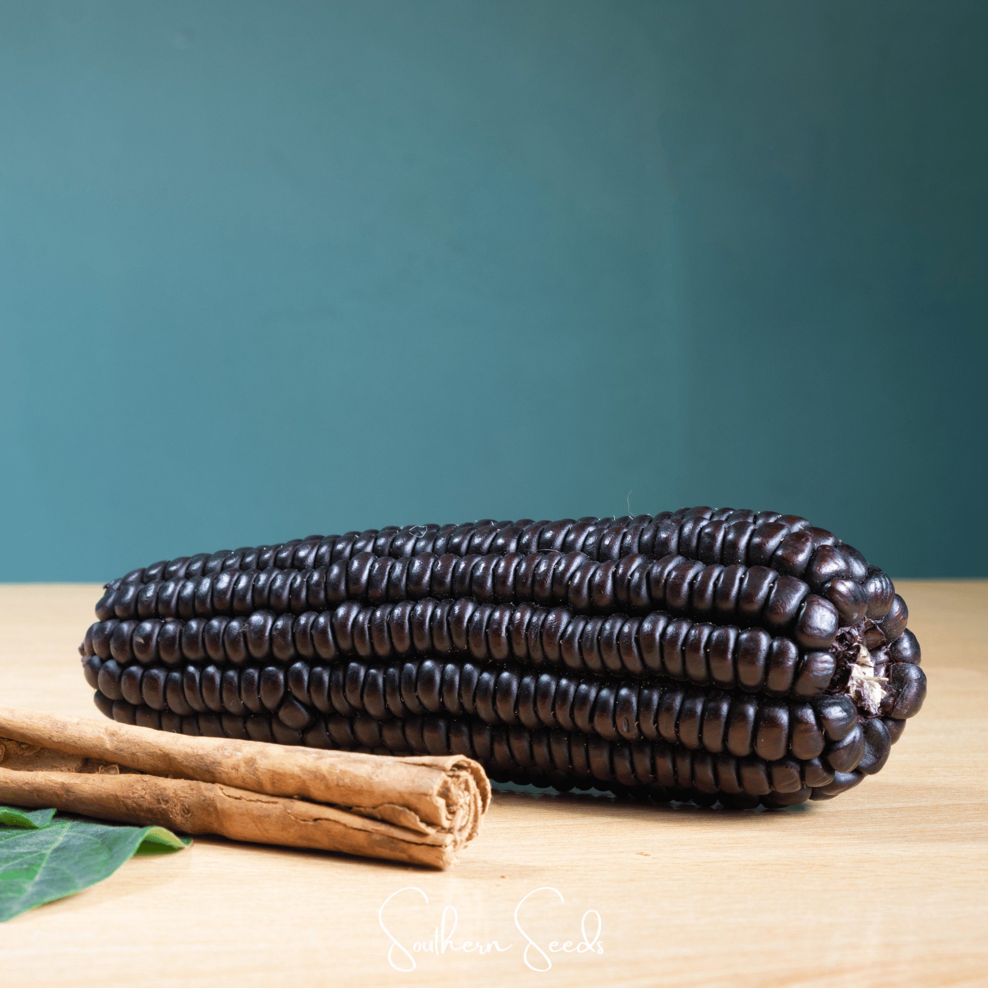 Morado Montana Maize Corn – 25 Seeds Southern Seeds