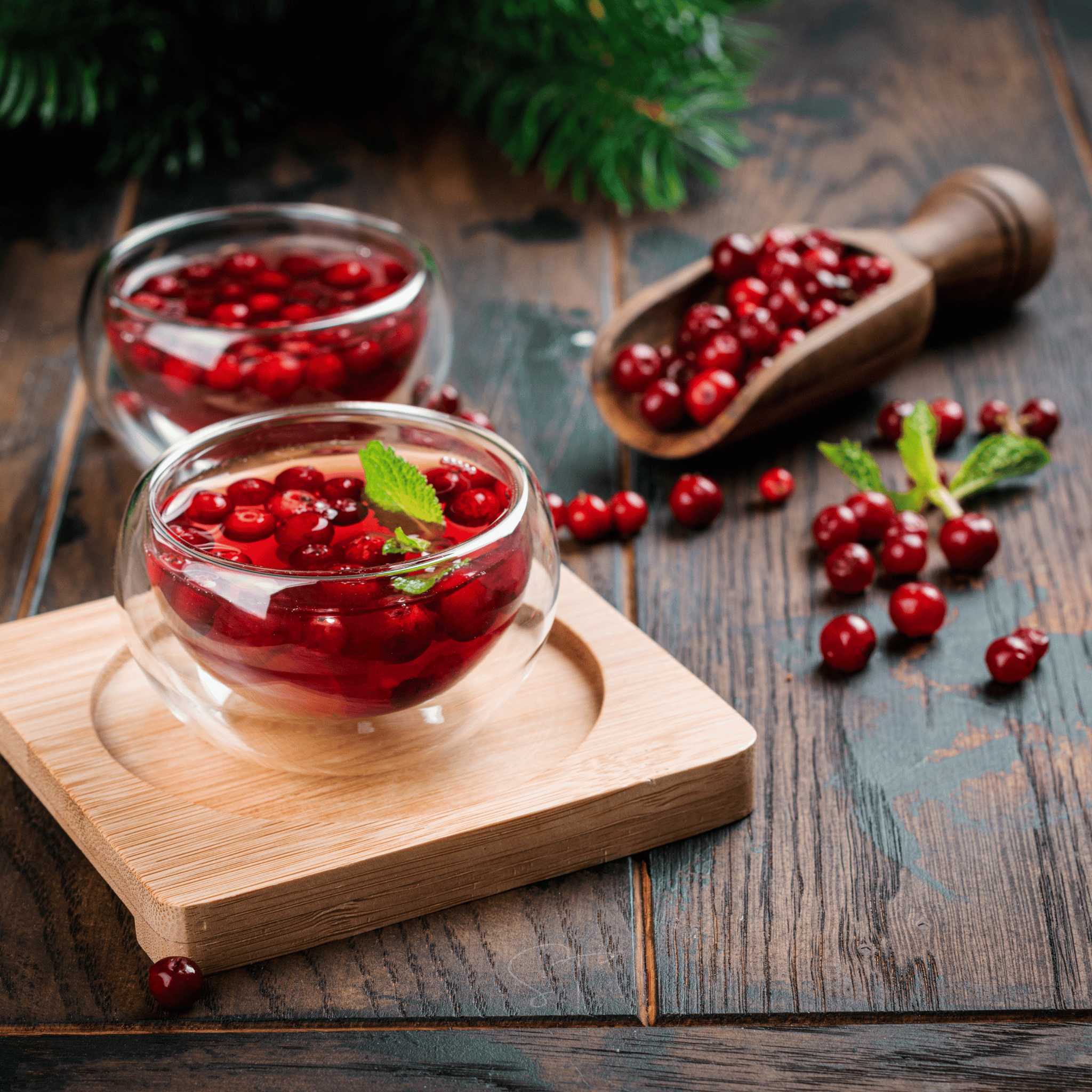 Cranberry, American – 50 Seeds Southern Seeds