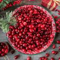 Cranberry, American – 50 Seeds Southern Seeds