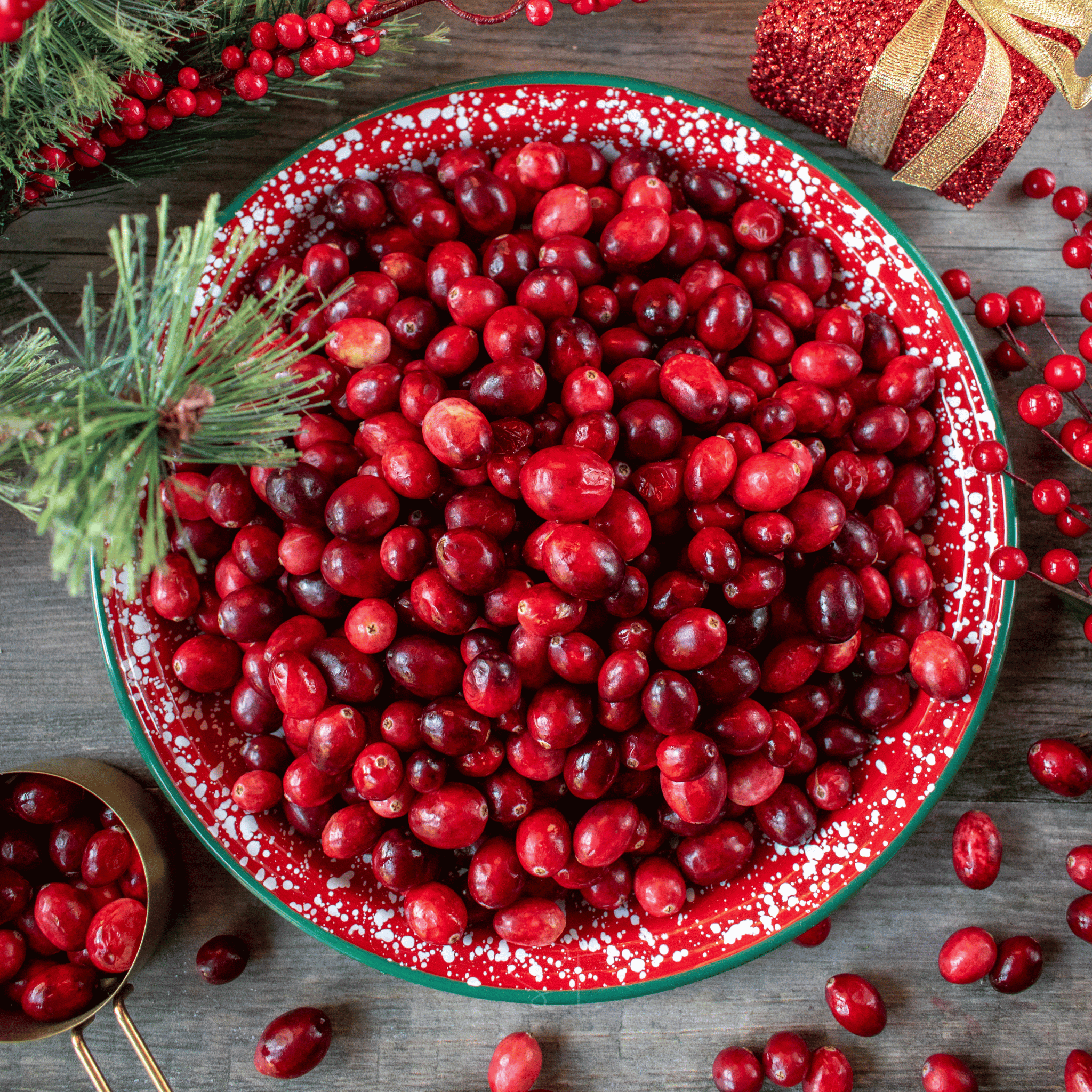 Cranberry, American – 50 Seeds Southern Seeds