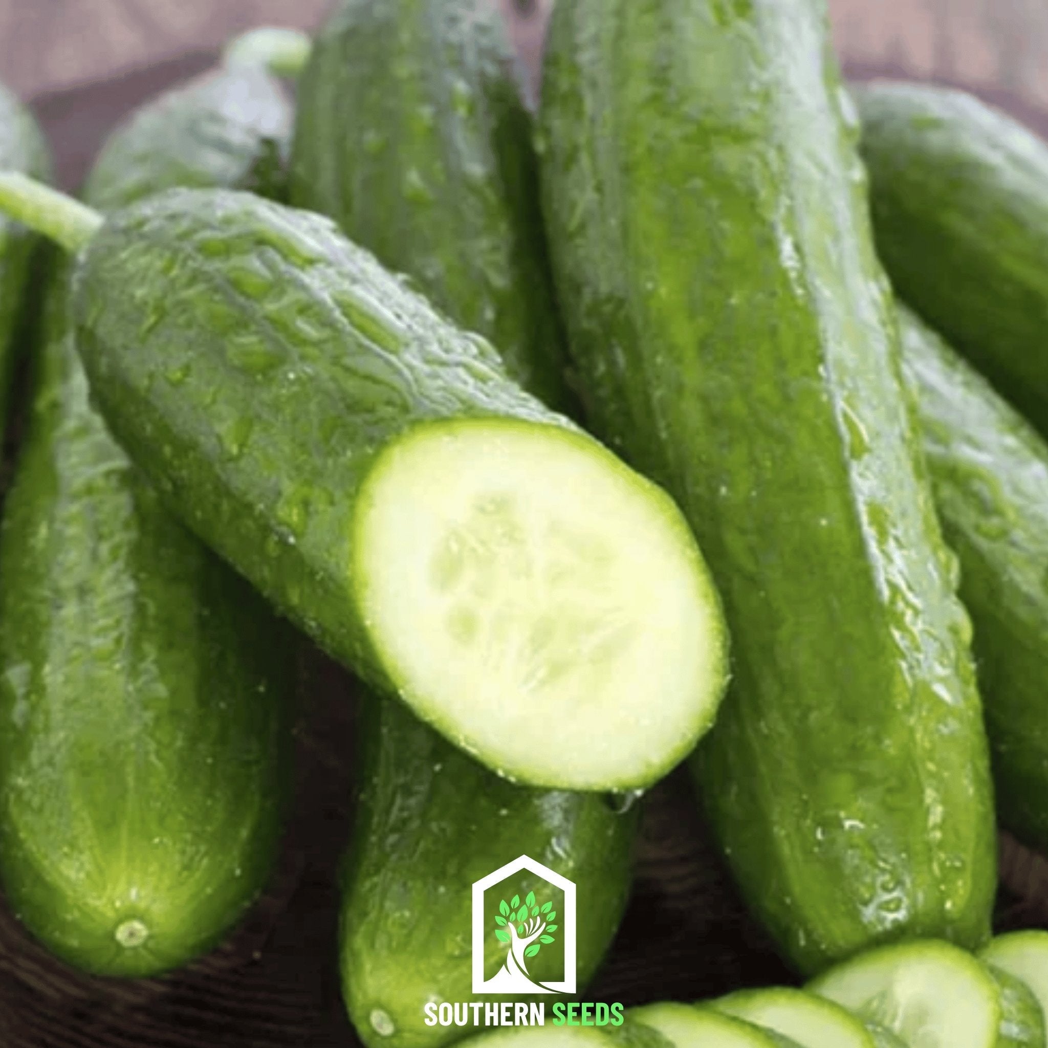 Beit Alpha Cucumber – 30 Seeds Southern Seeds