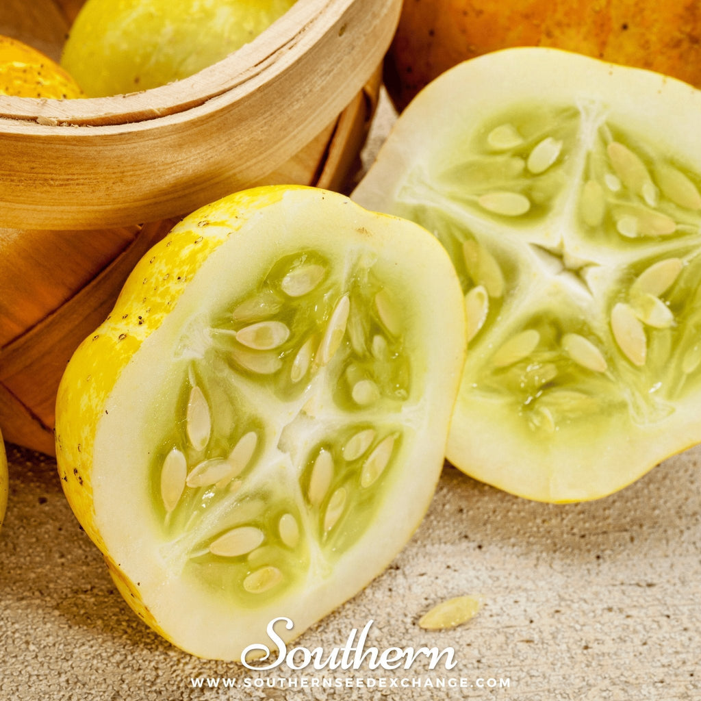 Lemon Cucumber – 30 Seeds Southern Seeds