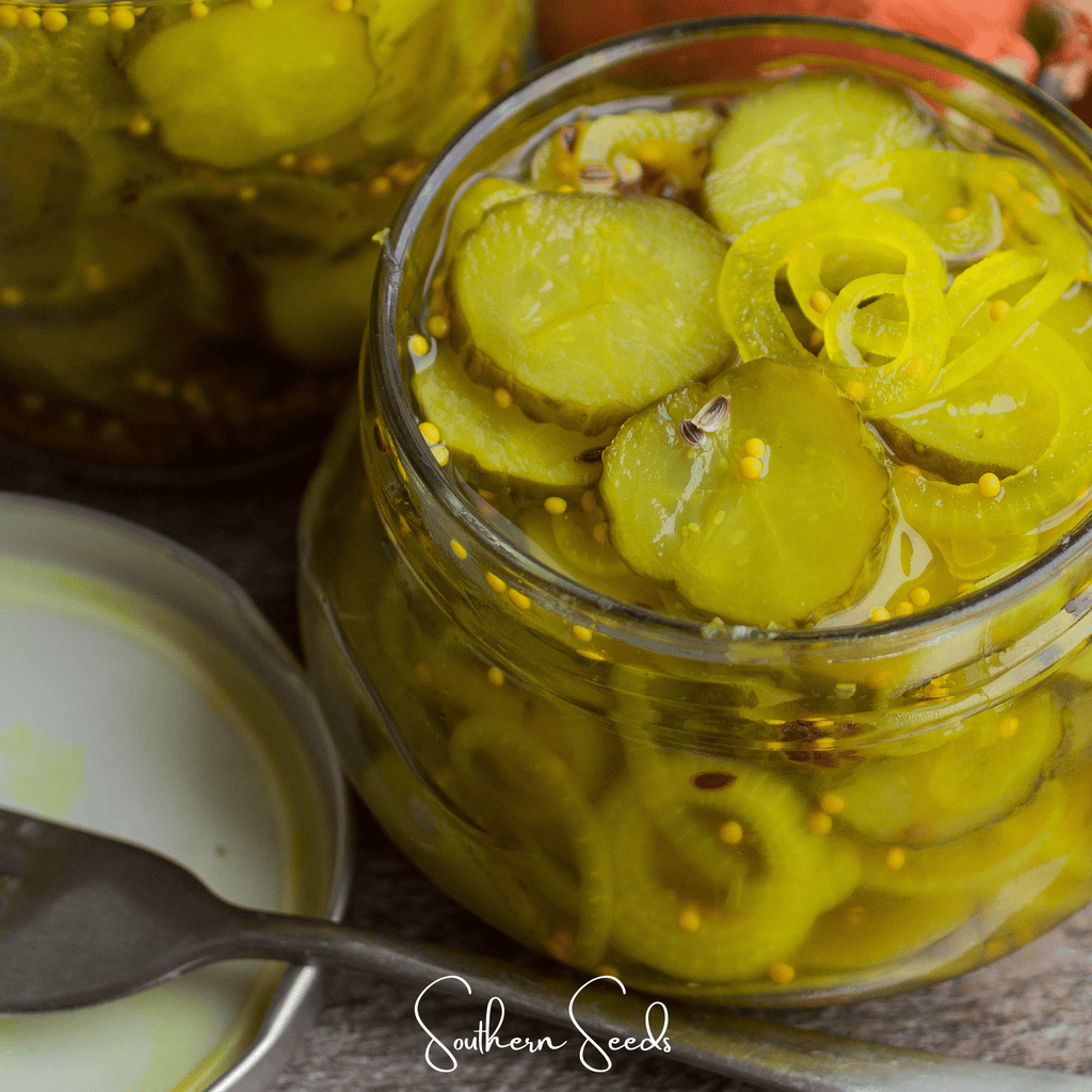 National Pickling Cucumber – 30 Seeds Southern Seeds