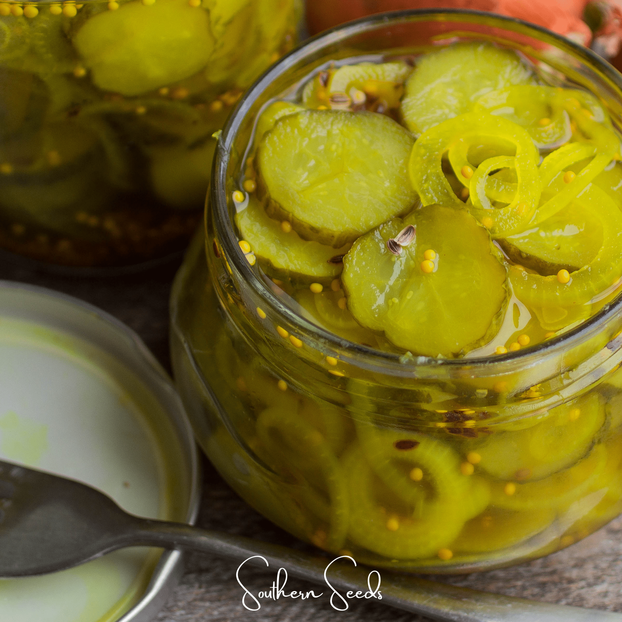 National Pickling Cucumber – 30 Seeds Southern Seeds