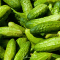 National Pickling Cucumber – 30 Seeds Southern Seeds