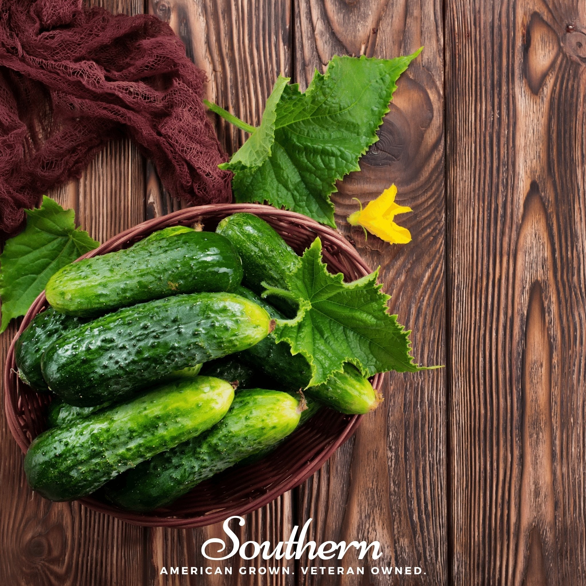 Pioneer Cucumber – 30 Seeds Southern Seeds