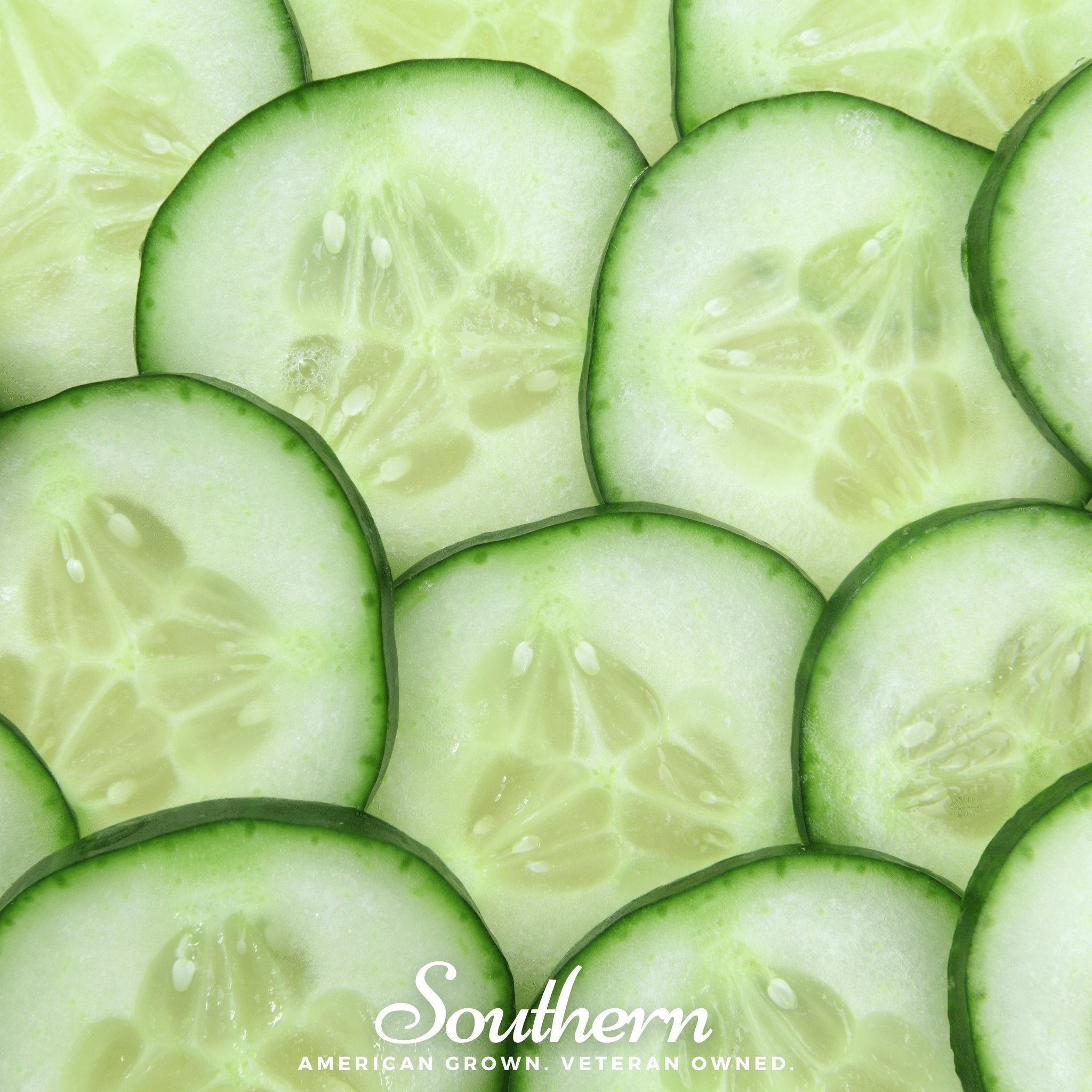 Spacemaster Cucumber – 30 Seeds Southern Seeds