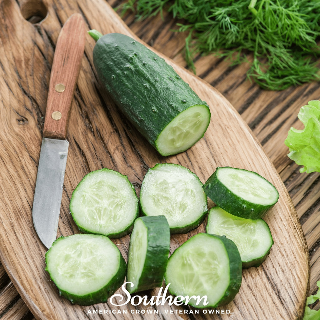 Spacemaster Cucumber – 30 Seeds Southern Seeds