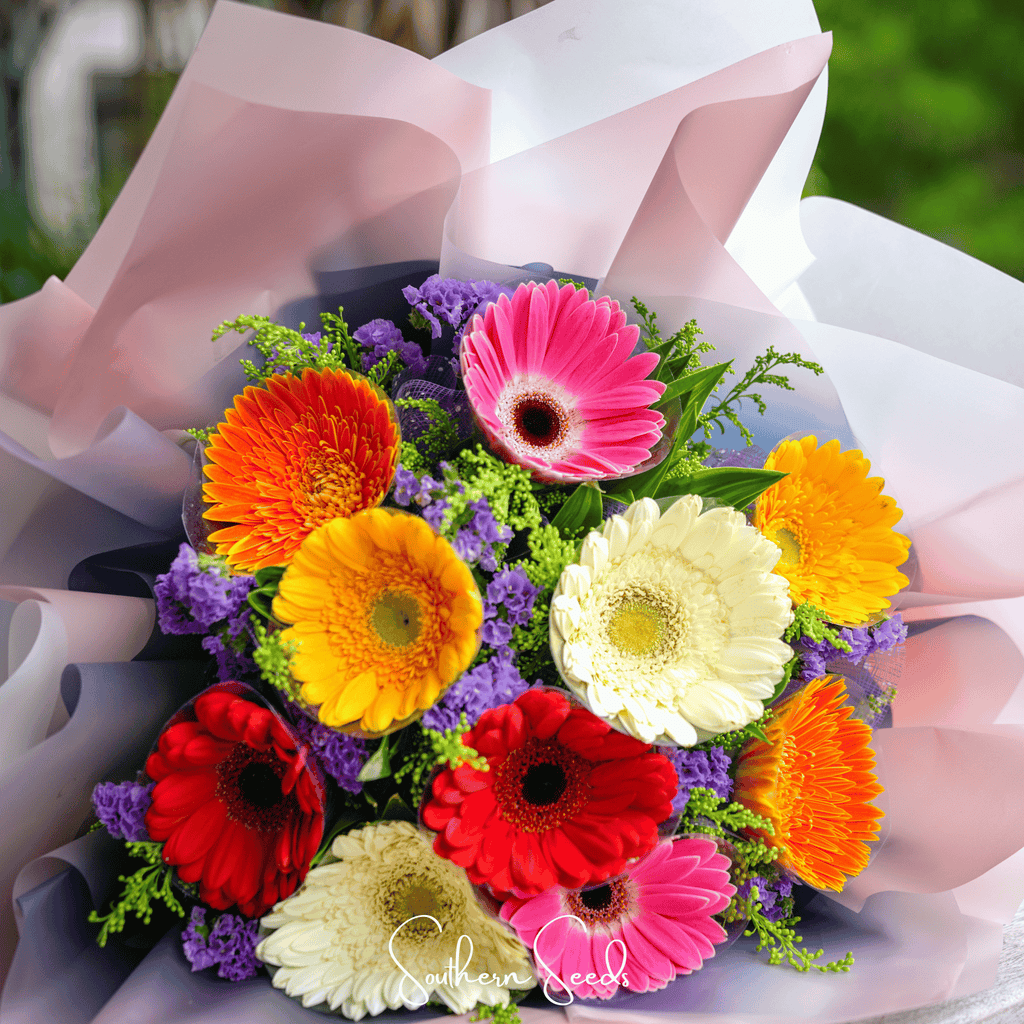 Gerbera Daisy Mix – 20 Seeds Southern Seeds